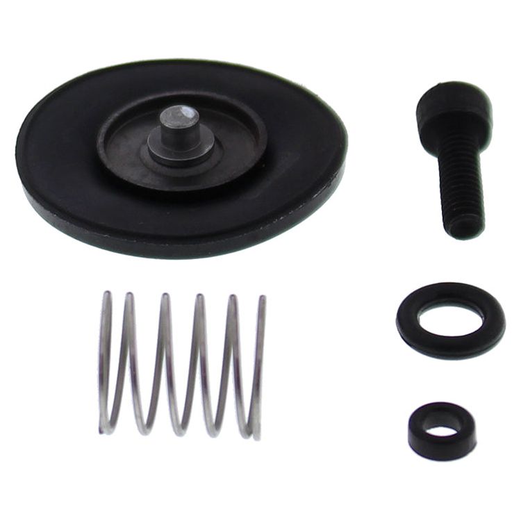 Accel. Pump Rebuild Kit