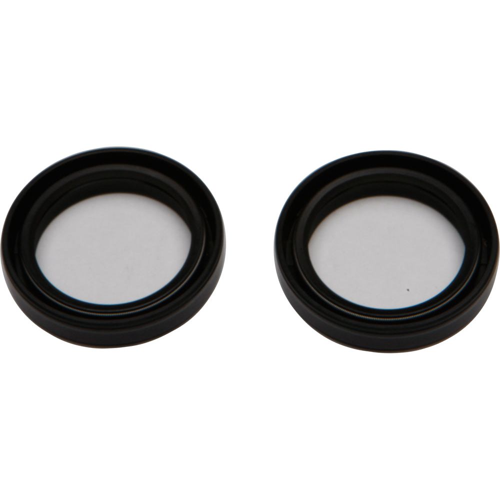Fork Seal Kit