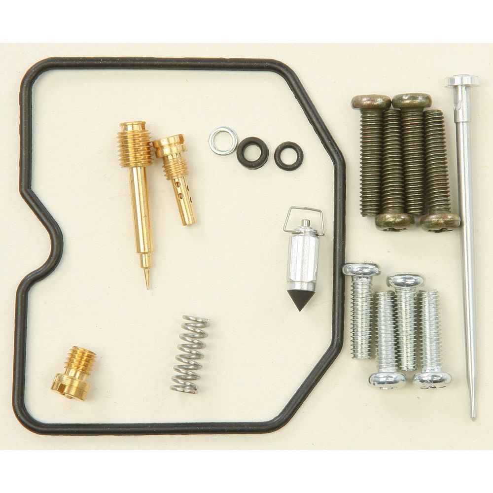 Bike Carburetor Rebuild Kit
