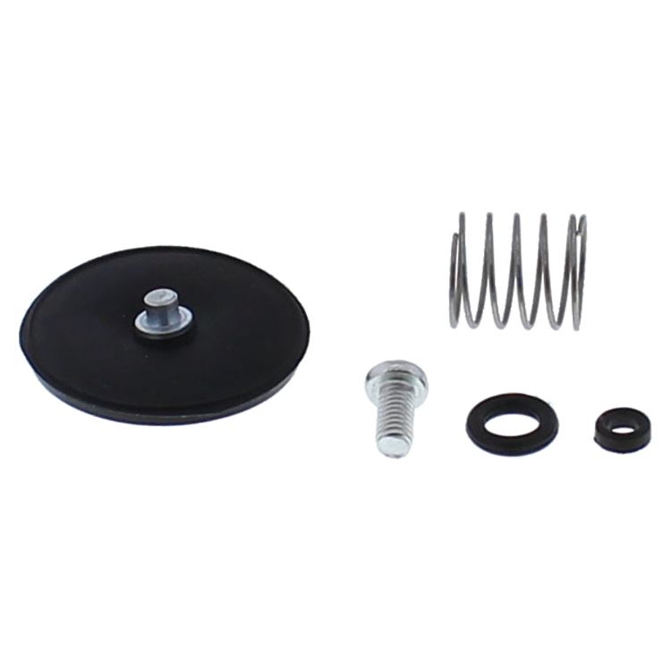 Accel. Pump Rebuild Kit