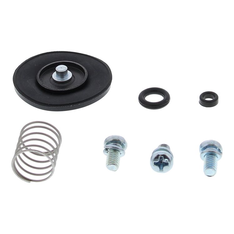 Accel. Pump Rebuild Kit