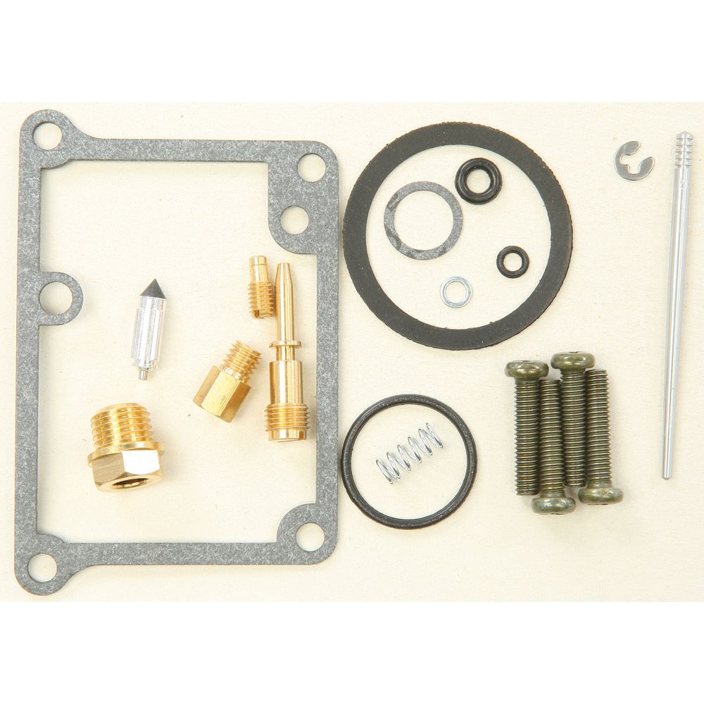 Bike Carburetor Rebuild Kit