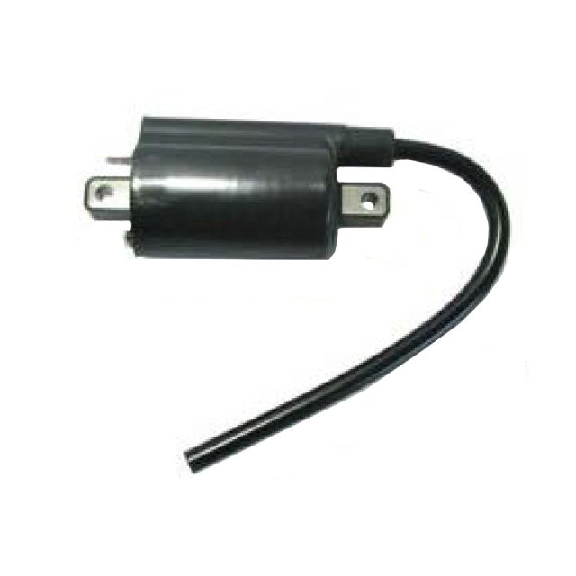 Atv Ignition Coil