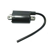 Atv Ignition Coil