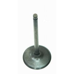 Intake Valve