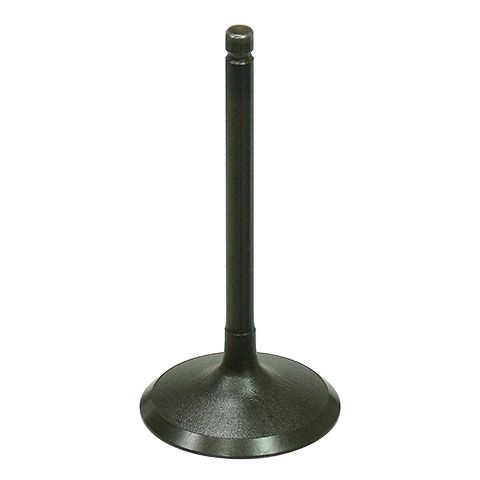Intake Valve