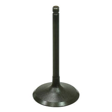 Intake Valve