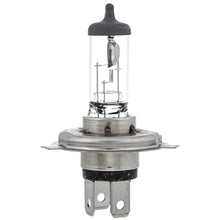 Polaris ATV Quartz Bulb, Hi/Lo, 60W/55W, Part 2870448