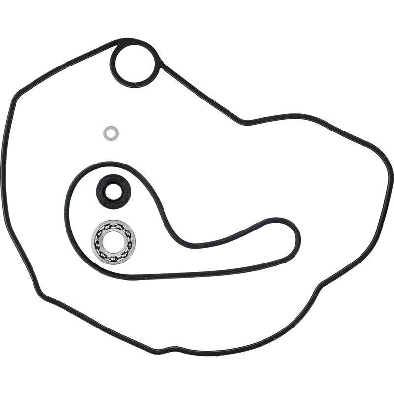 Water Pump Rebuild Kit