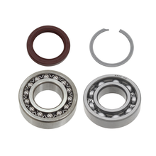 Jack Shaft Bearing/Seal Kit Yam