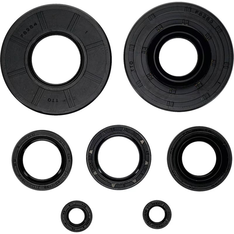 Oil Seal Kit