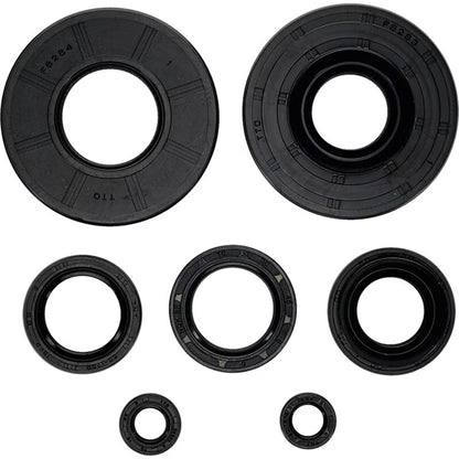 Oil Seal Kit