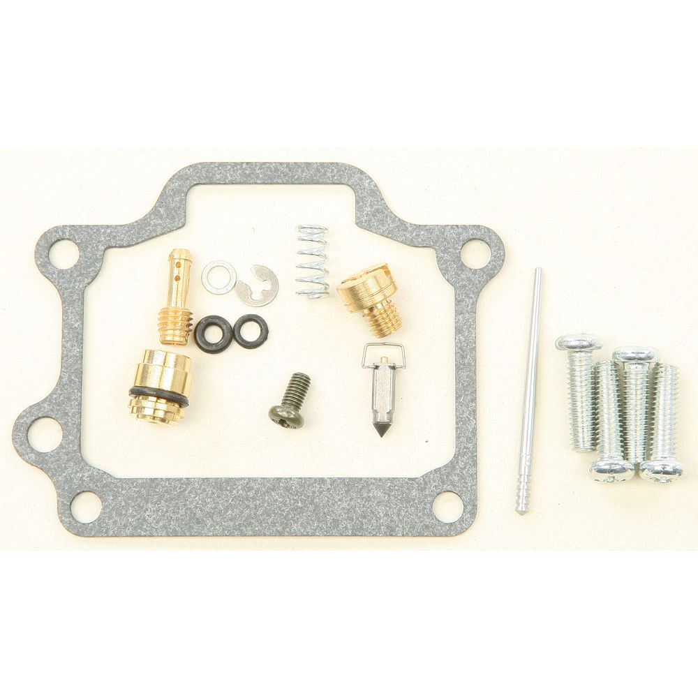 Carburetor Repair Kit