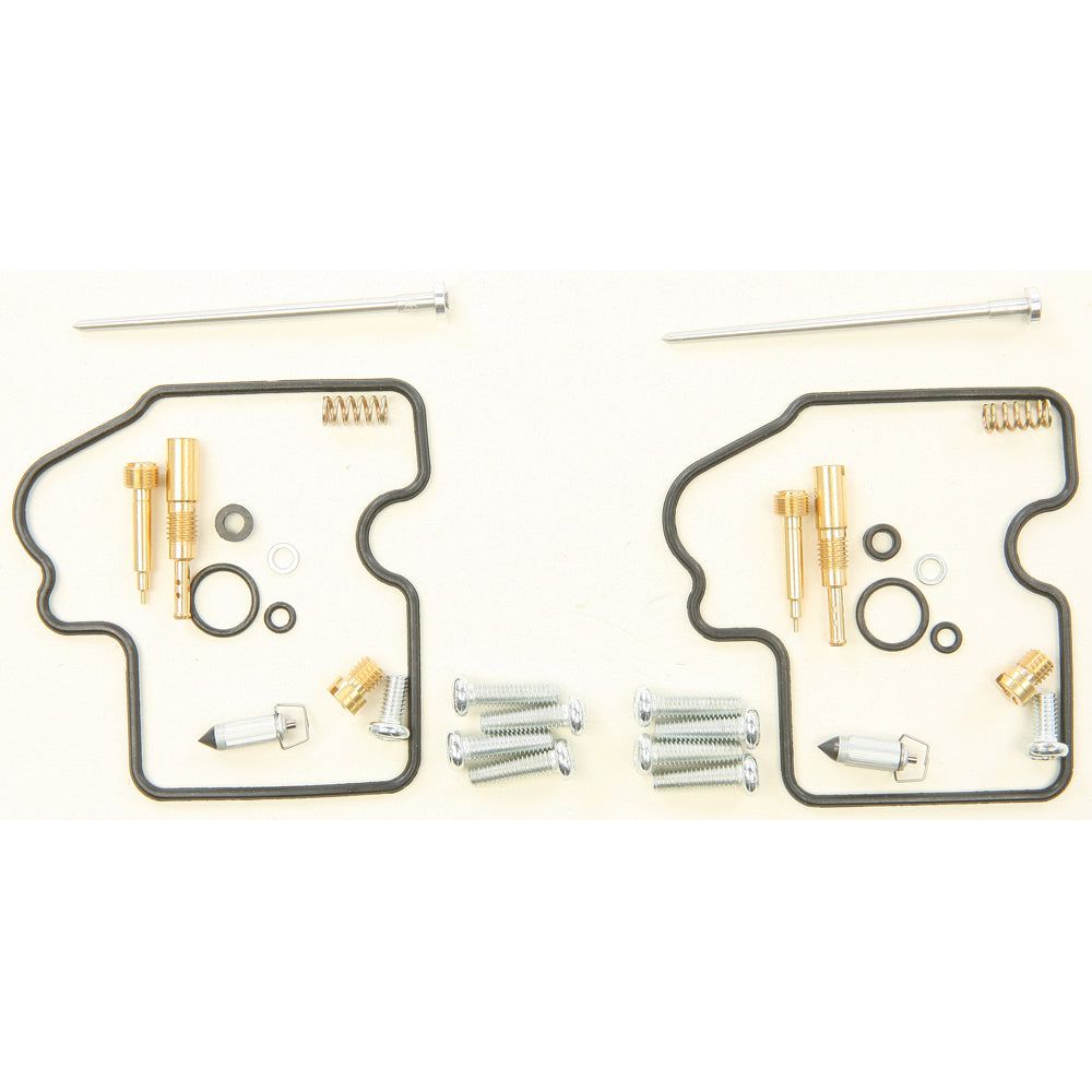 Carburetor Repair Kit