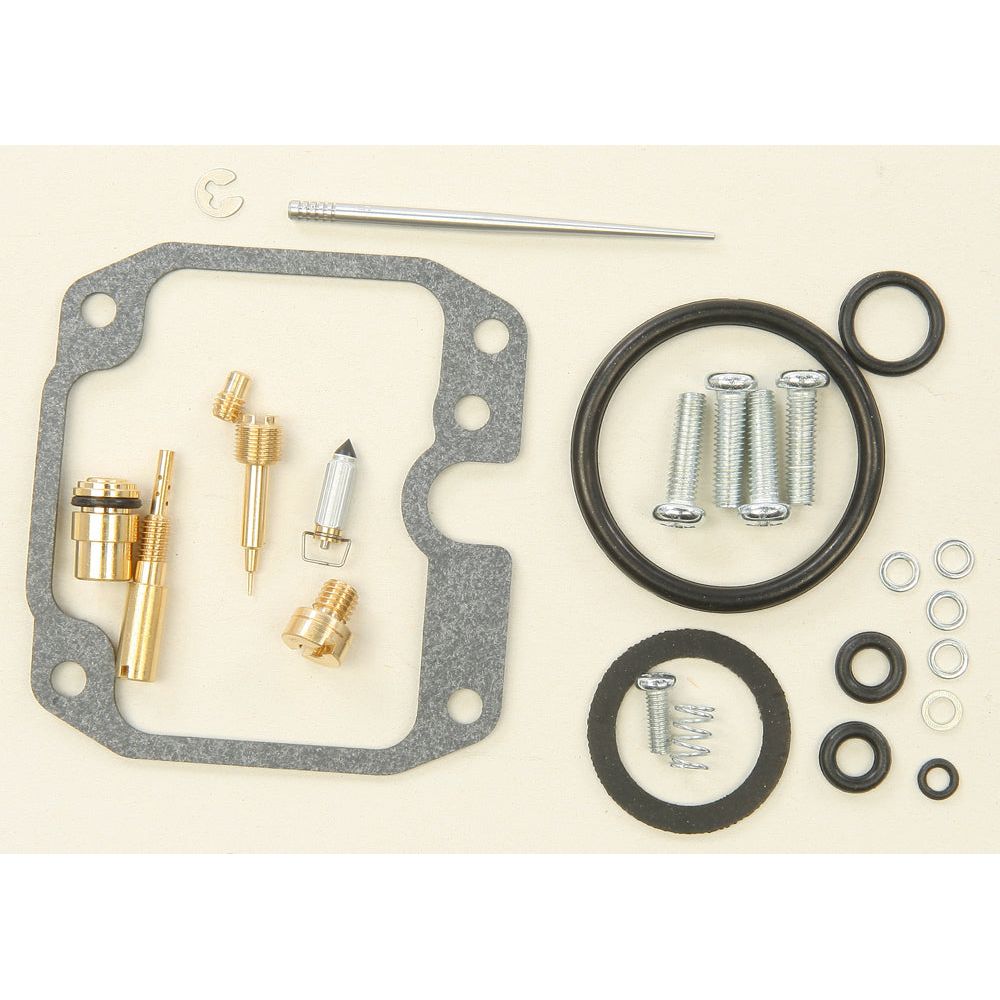 Carburetor Repair Kit