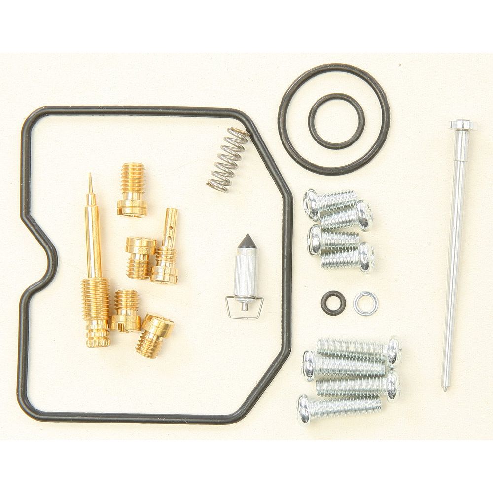 Carburetor Repair Kit