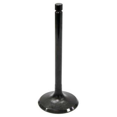 Exhaust Valve