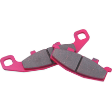 BikeMaster Kawasaki Sintered Brake Pads