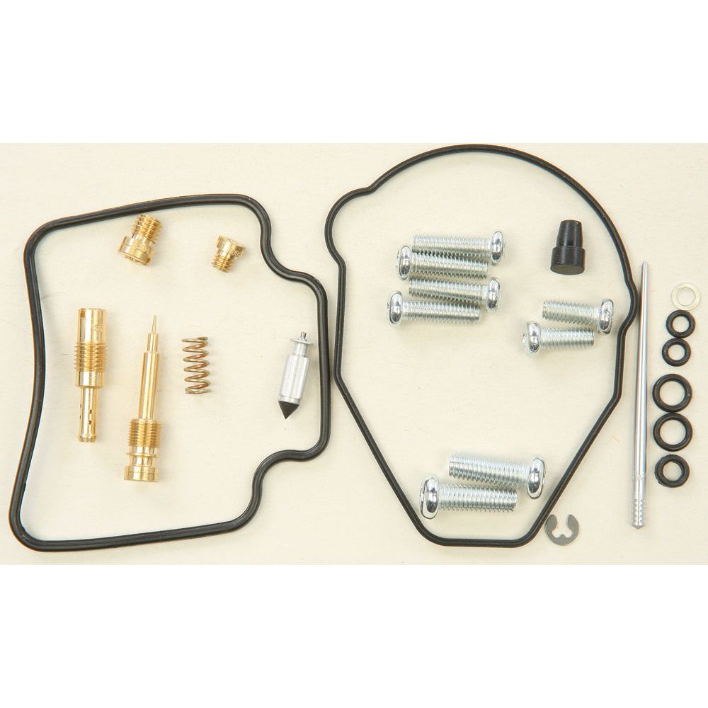 Carburetor Repair Kit