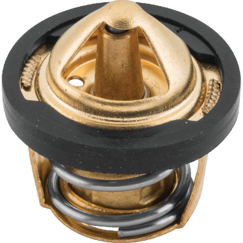 
                      
                        QuadBoss 04-05 Polaris ATP 500 Thermostat
                      
                    