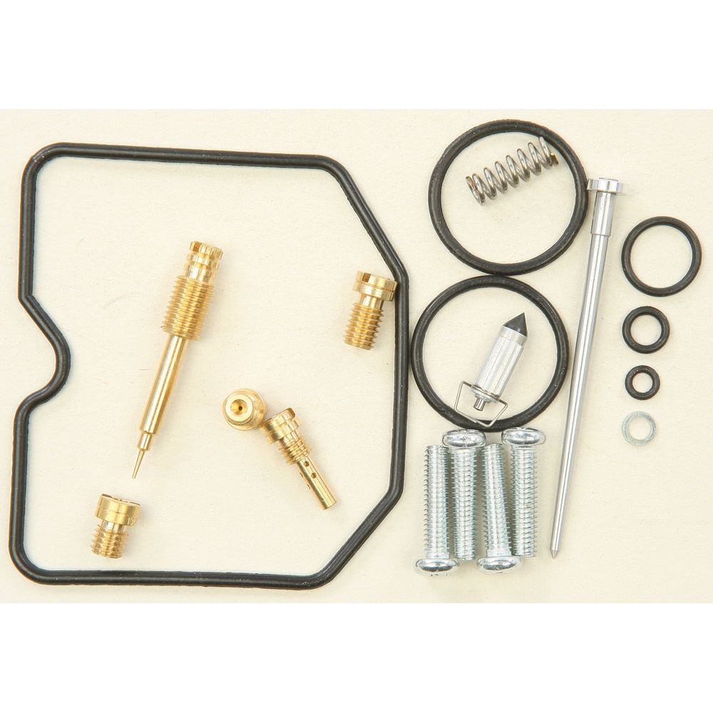 Carburetor Repair Kit