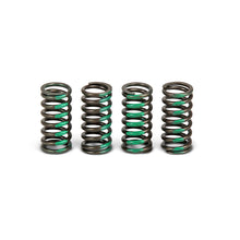 Clutch Springs