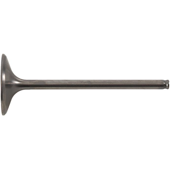 Intake Valve Titanium