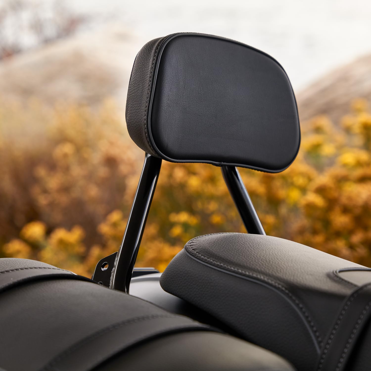 Indian Motorcycle Syndicate Low Profile Passenger Backrest - 2890256-266