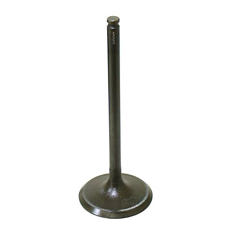 Intake Valve