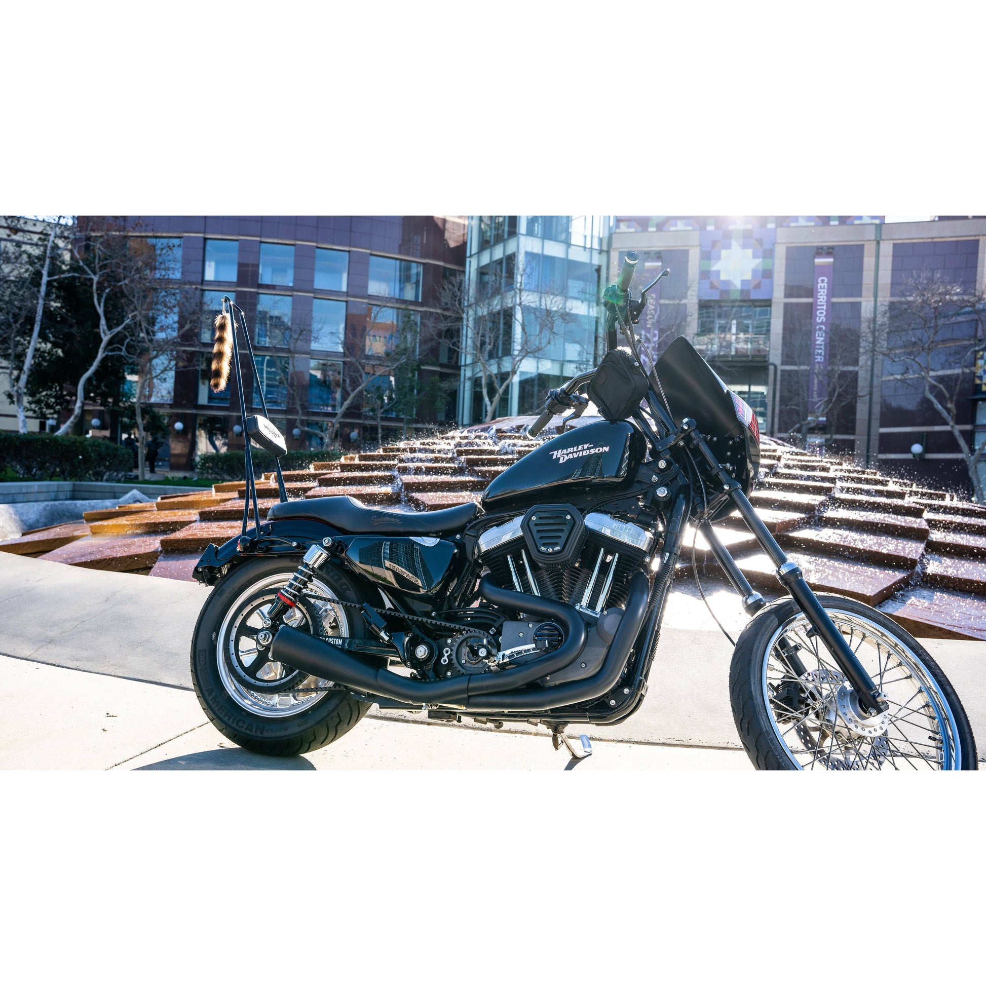 Stupid Tall Sissy Bar W/Bar Black Xl 04 22