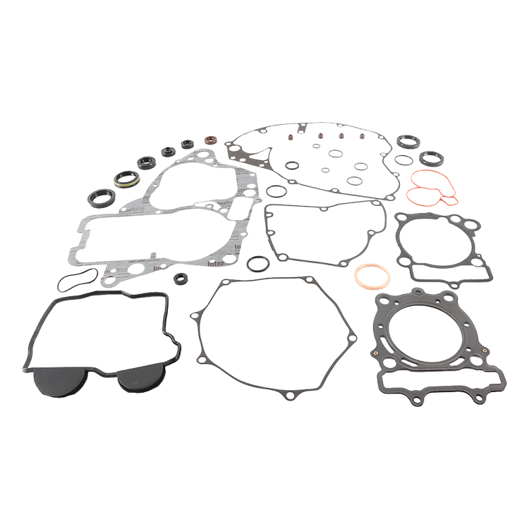 Complete Gasket Set With Oil Seals