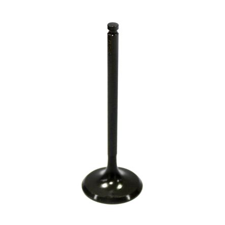 Intake Valve