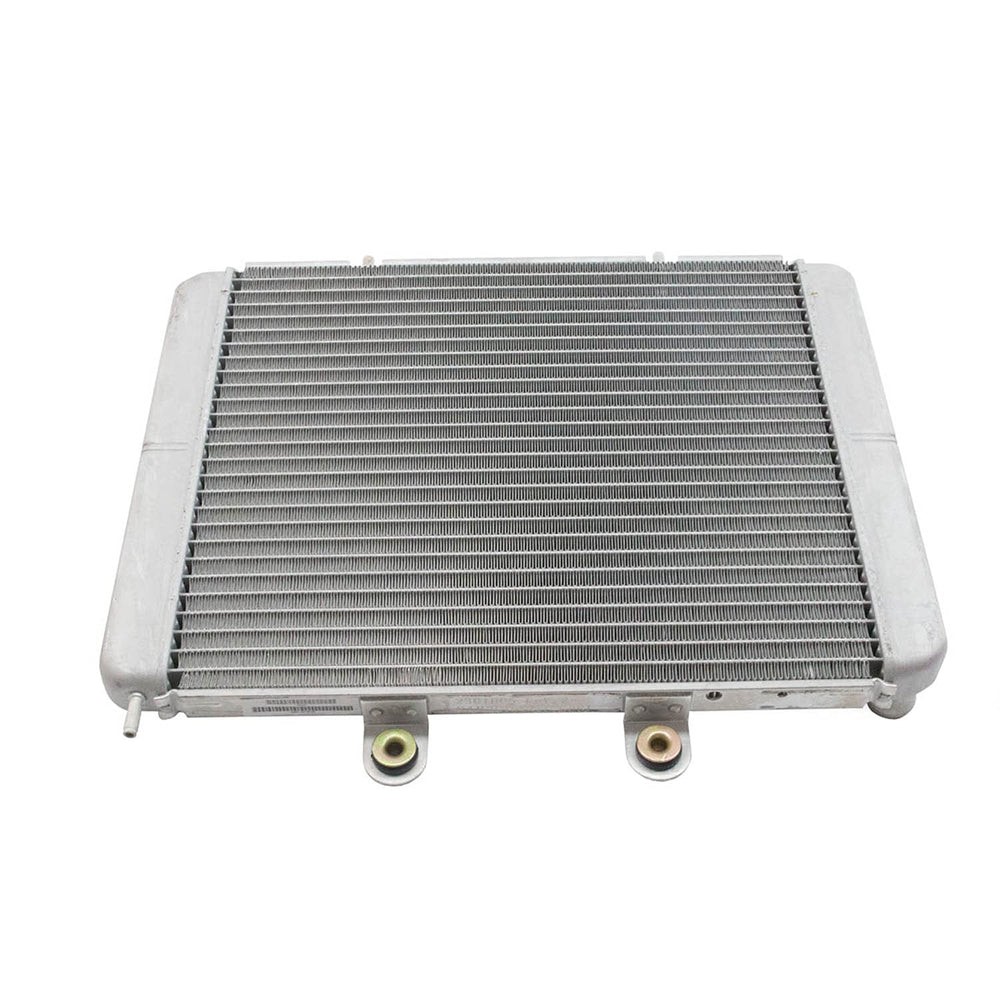 
                      
                        Polaris RZR Radiator Core Assembly, Genuine OEM Part 1240444, Qty 1
                      
                    