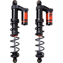 S/D Renegade Ski Kit