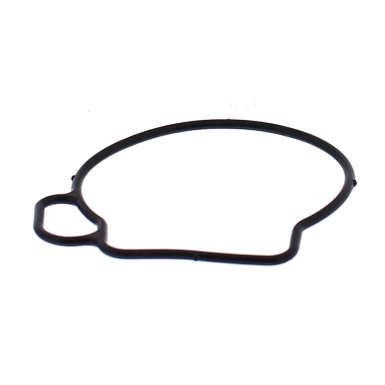 Float Bowl Gasket Only