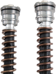 OHLINS Cartridge Kit - 30 mm (FGK236) FGK 236