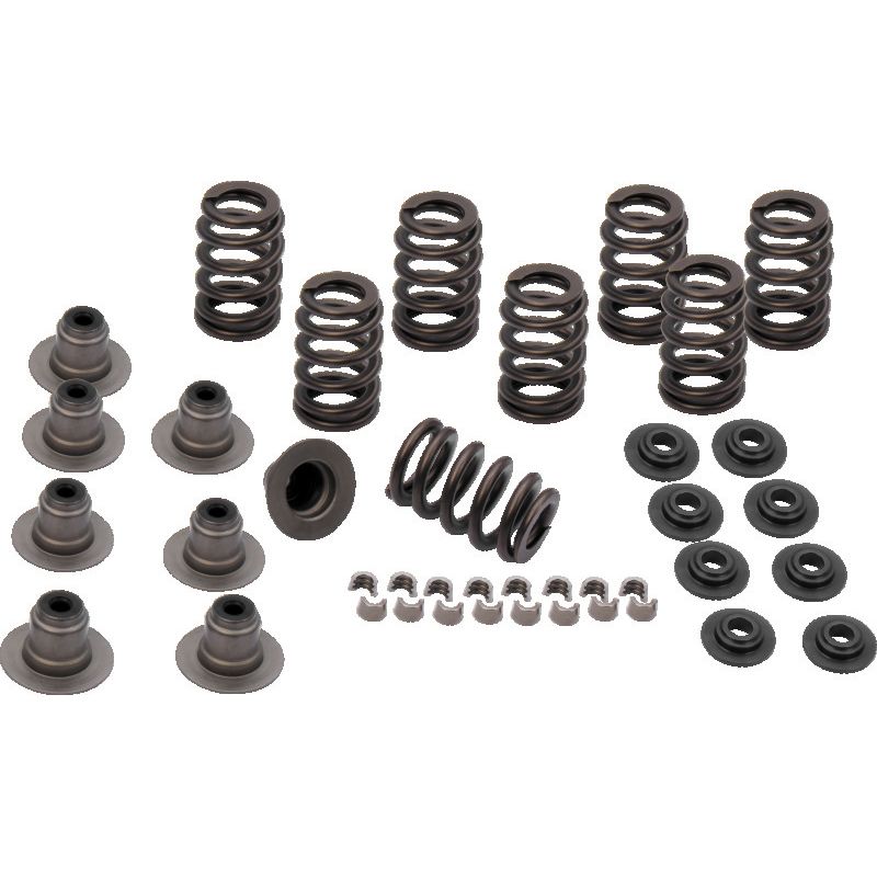 S&S Cycle 2017+ M8 Models Valve Spring Kit - .605in
