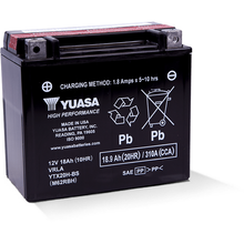 Yuasa YTX20H-BS High Performance AGM 12-Volt Battery w/Bottle