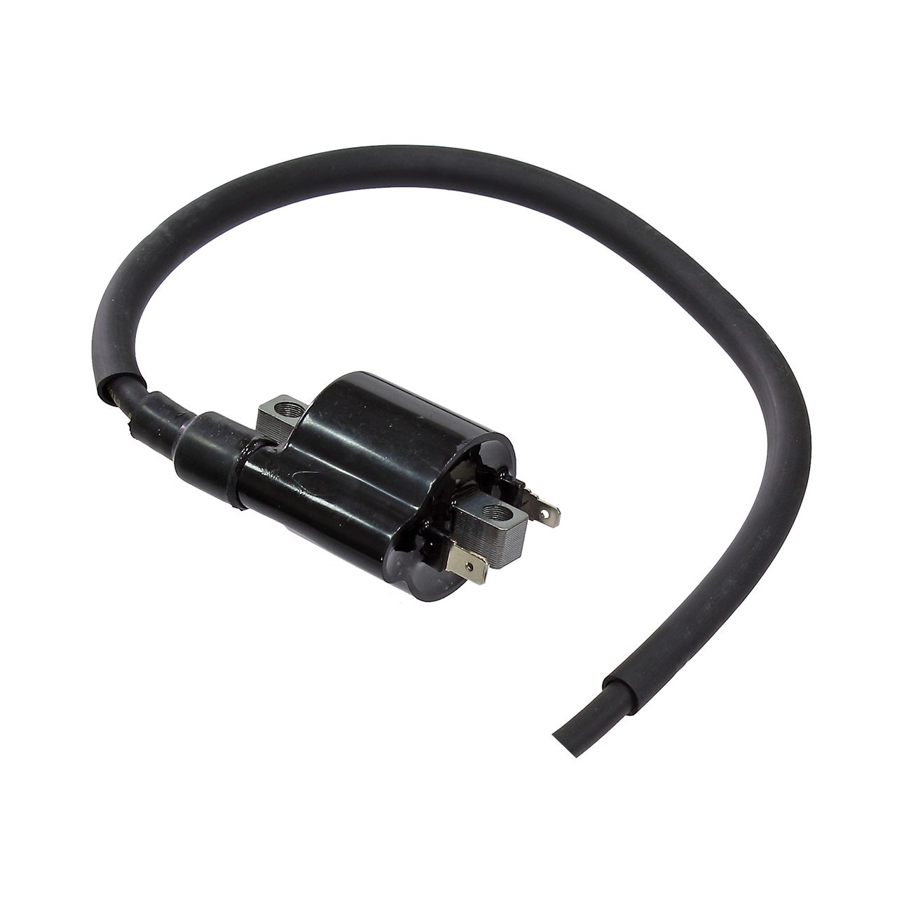 Atv Ignition Coil