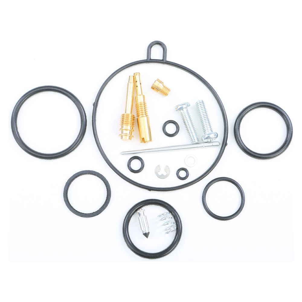 Carburetor Repair Kit