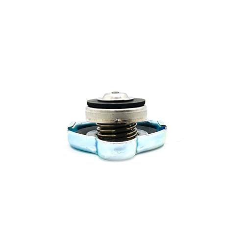 
                      
                        Polaris RZR Cap, OEM Part - 1240694
                      
                    