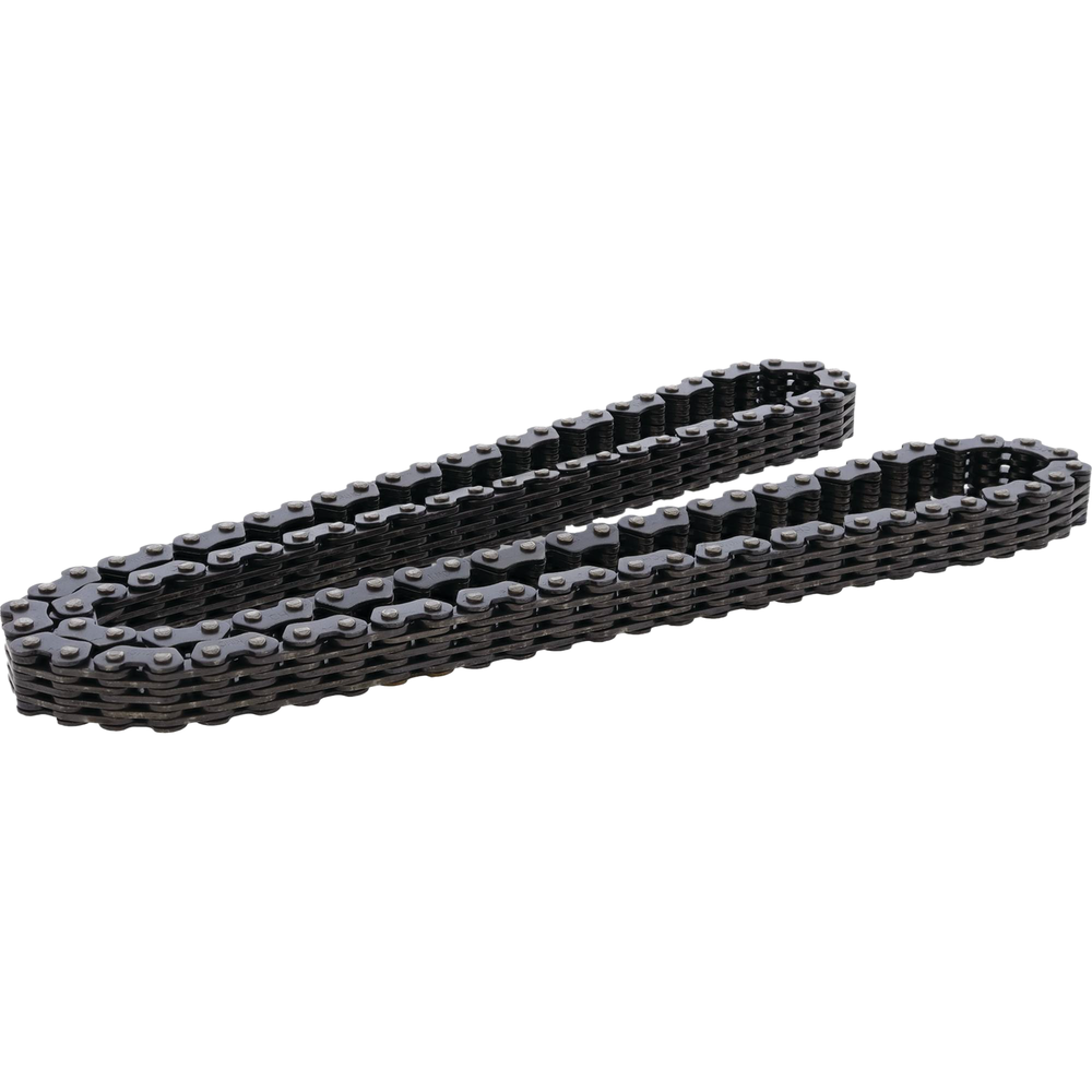 Cam Chain