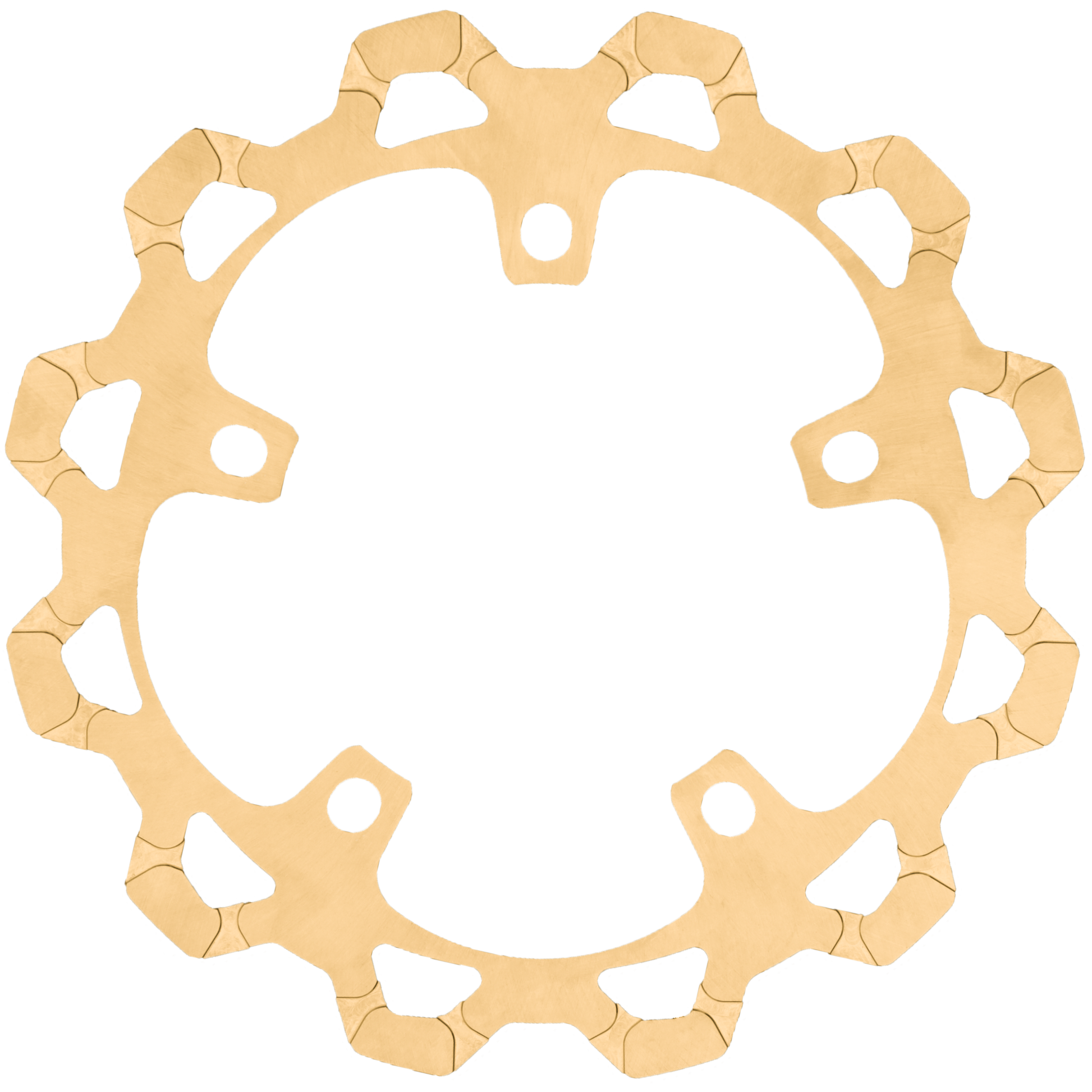 320mm Perimeter Rotor Gold  `24 Flh/Flt (Non Cvo)