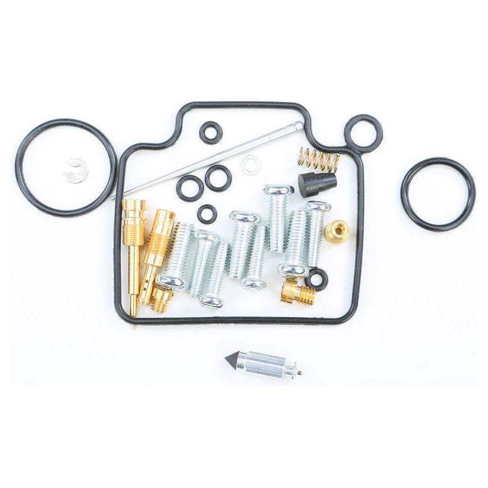 Carburetor Repair Kit