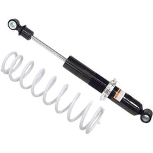 Gas Ski Shock W/Spring Pol