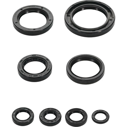 Oil Seal Set Hon
