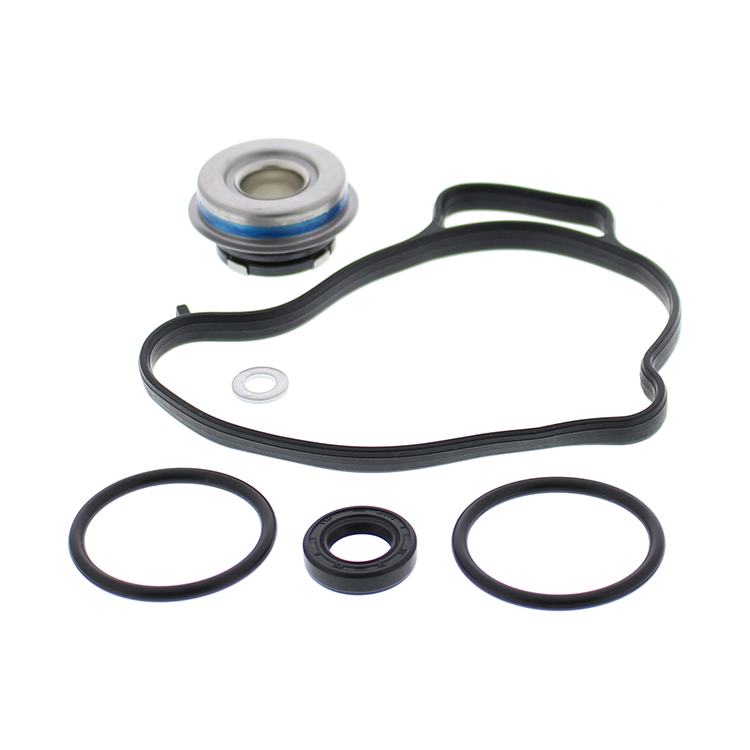 Water Pump Rebuild Kit