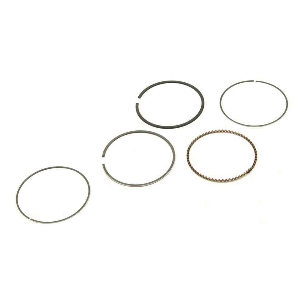 
                      
                        Polaris Off Road Piston Ring Set, 010'/.25 mm, Genuine OEM Part 3087234, Qty 1
                      
                    