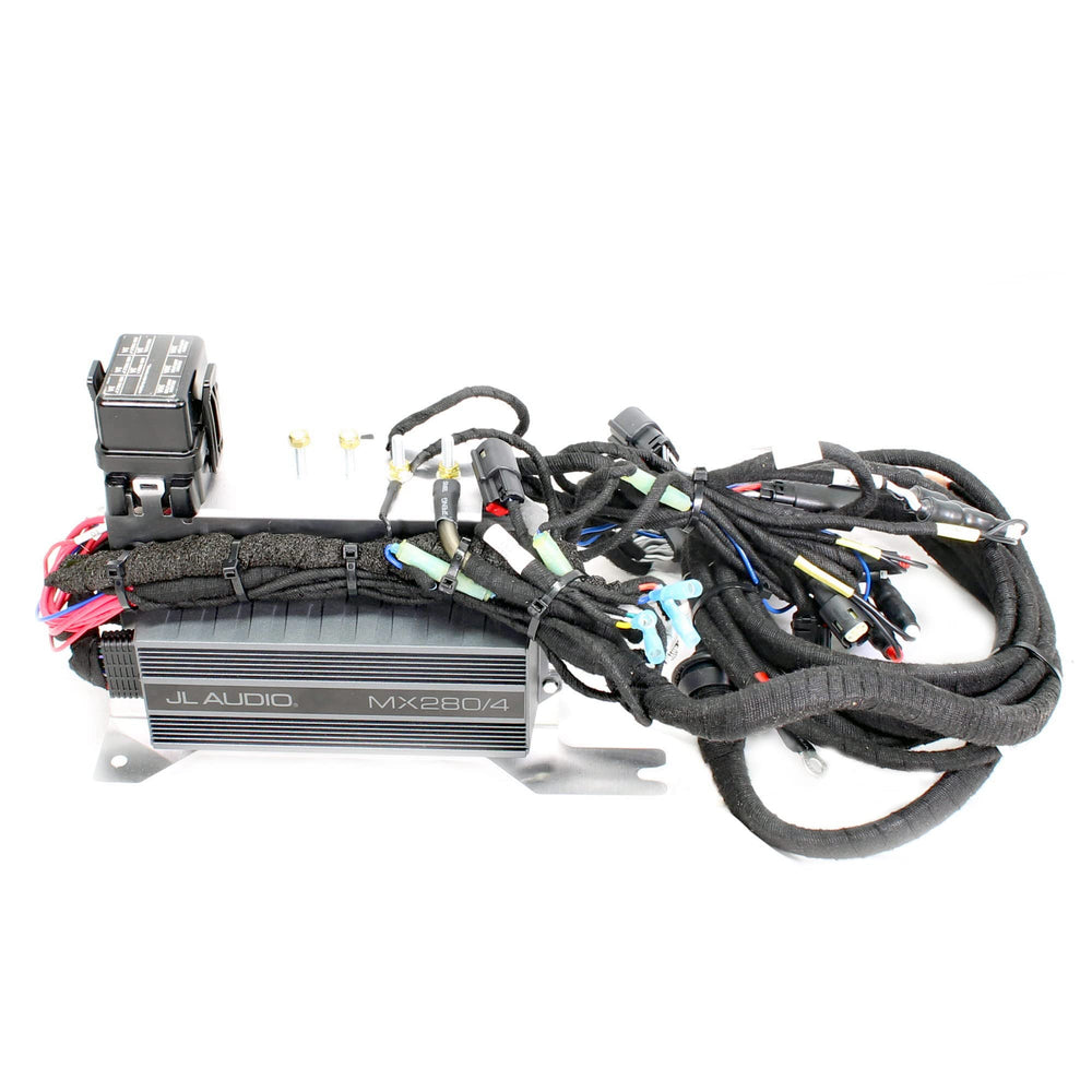 
                      
                        Sea-Doo New OEM Switch Audio System 295100967
                      
                    