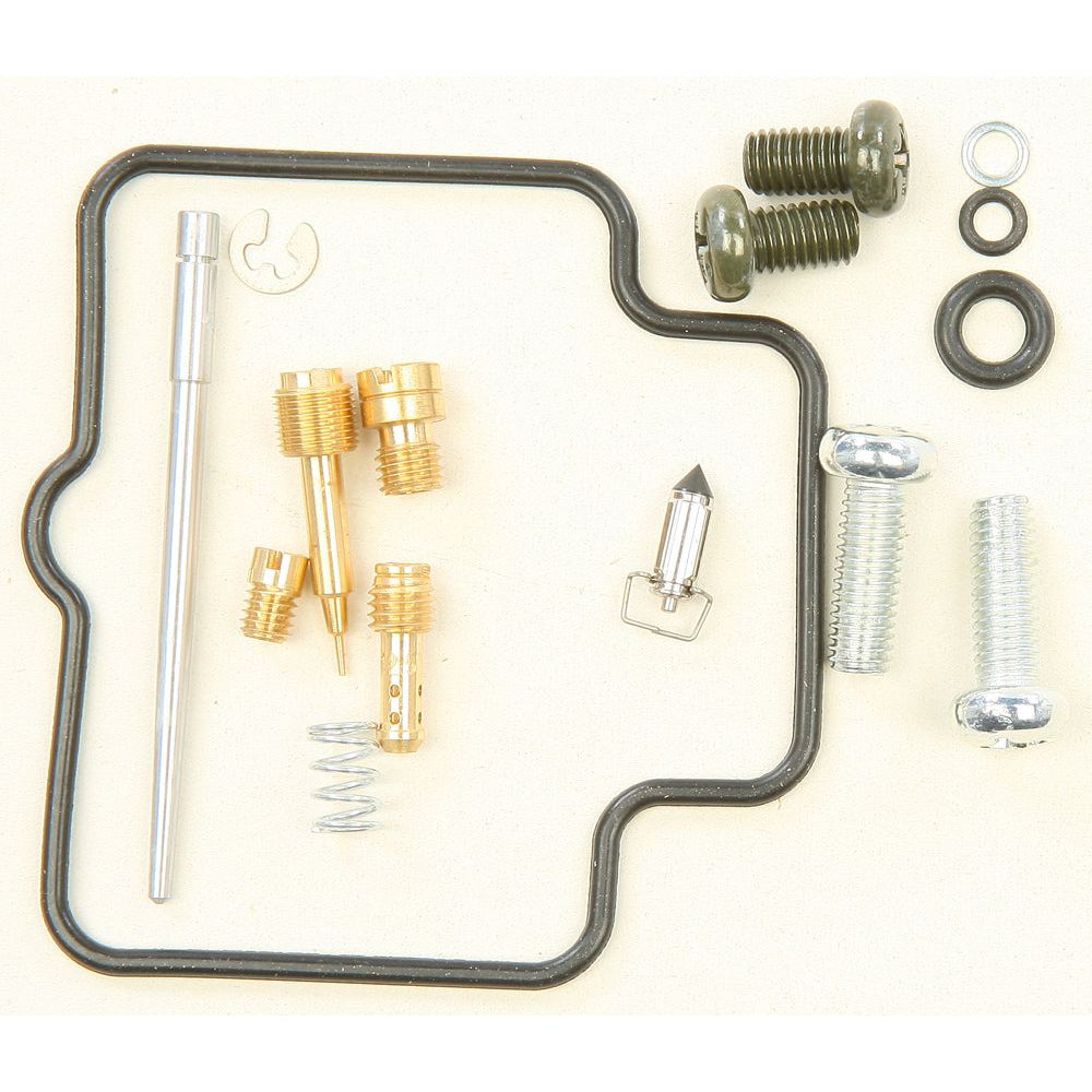 Carburetor Repair Kit